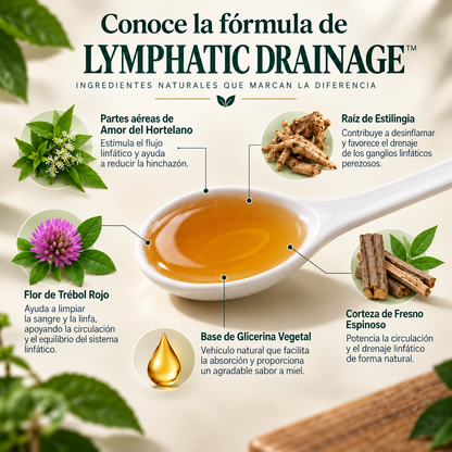 Lymphatic Drainage – Gotas de Drenaje Linfático Natural | 60 ml